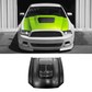 2010-2014 Ford Mustang GT500 V6 Aluminum Hood