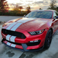 2015-2017 Ford Mustang GT350 Aluminum Hood